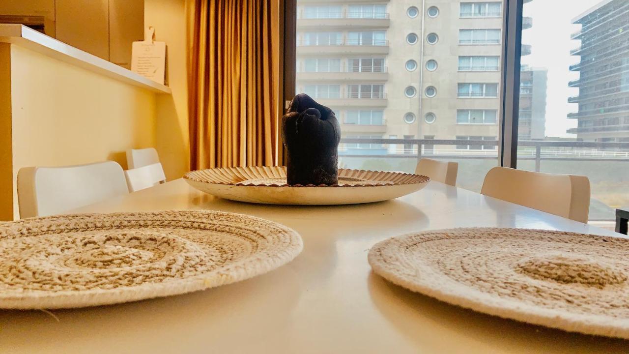 Ruim, Lichtrijk Appartement Met Groot Terras Uitstekend Gelegen In דה פאן מראה חיצוני תמונה