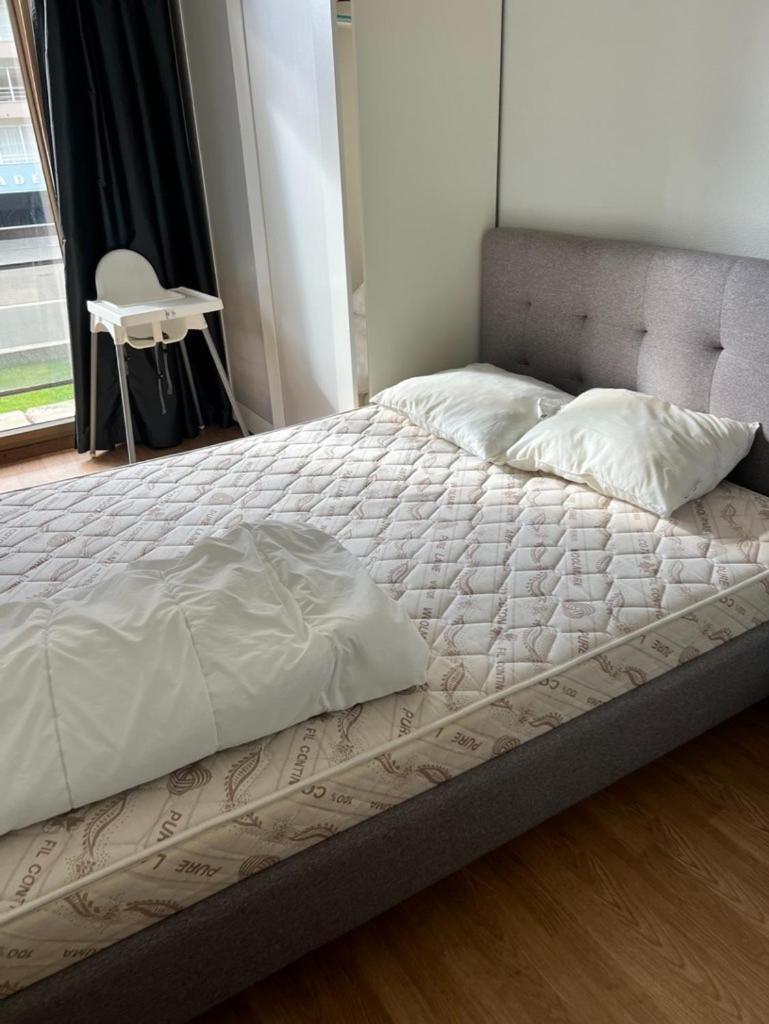 Ruim, Lichtrijk Appartement Met Groot Terras Uitstekend Gelegen In דה פאן מראה חיצוני תמונה